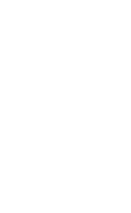 Tiznajo instruments
